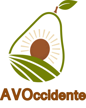 AVOccidente