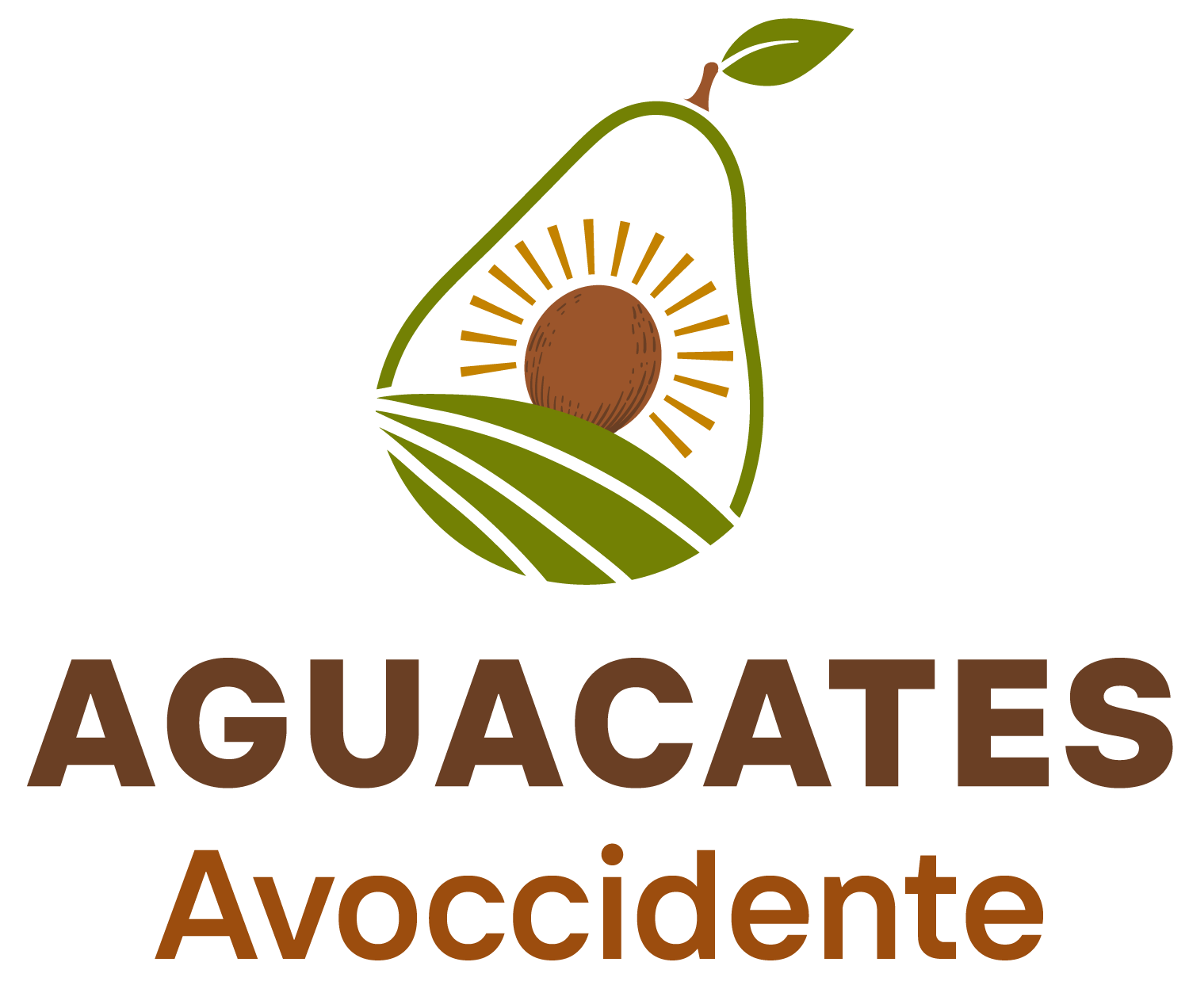 AVOccidente